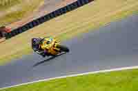 Lower Group Yellow Bikes